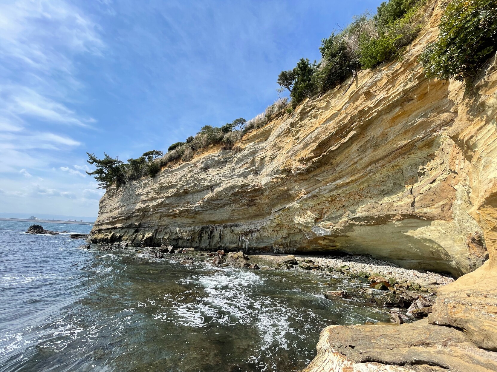 View from shore looking along high sandy cliffs with lots of different layers visible in the rock. The blue sky and ocean are visible on the left, and scrubby trees line the top of the cliff.